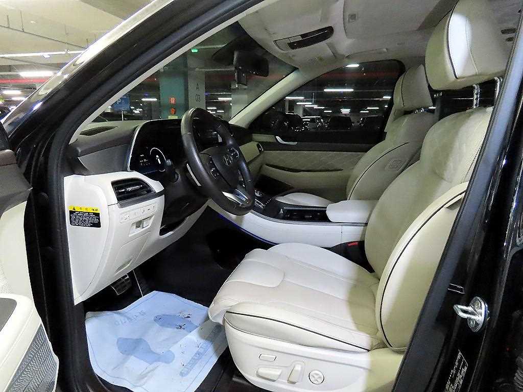 HYUNDAI Palisade - Vista 6