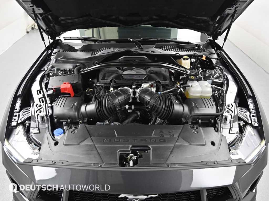 Ford Mustang - Vista 6