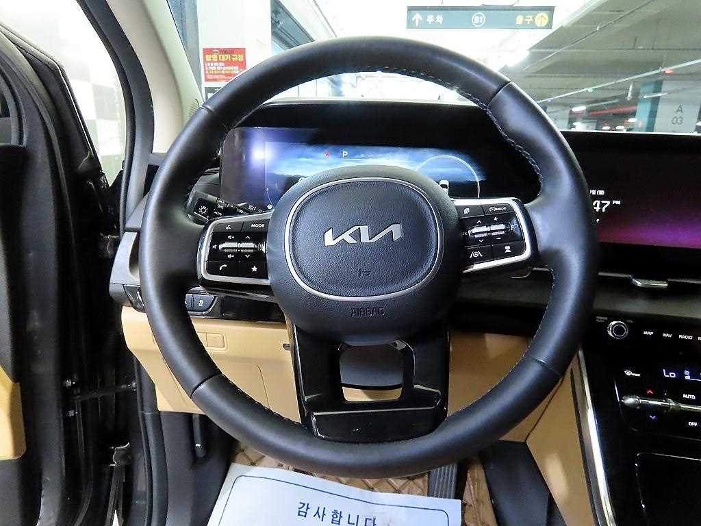 KIA Carnival - Vista 8
