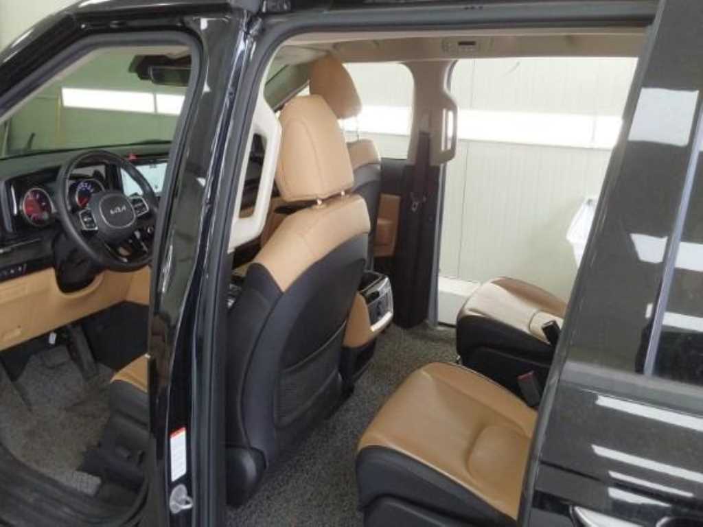 KIA Carnival - Vista 11