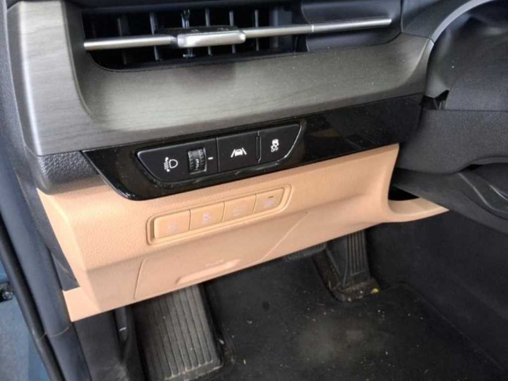 KIA Carnival - Vista 11