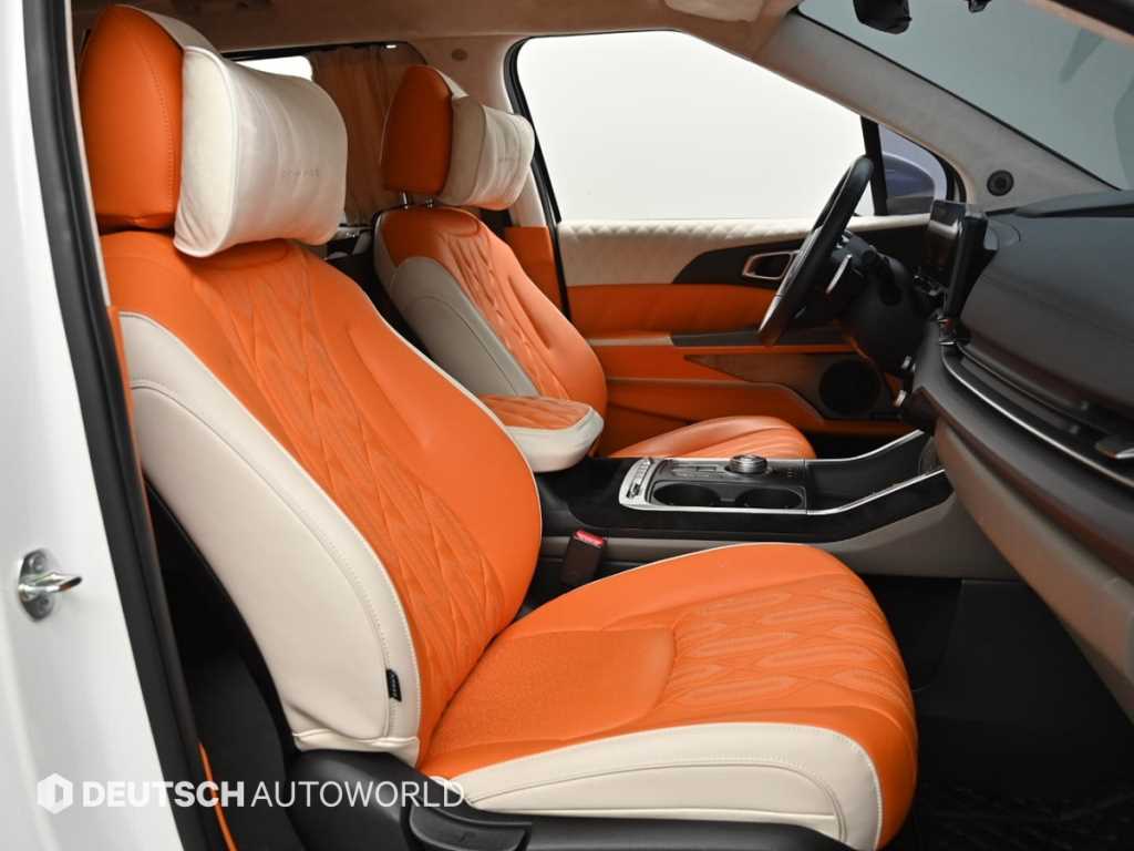 KIA Carnival - Vista 10
