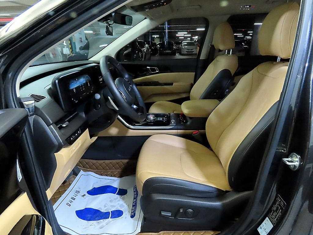 KIA Carnival - Vista 6