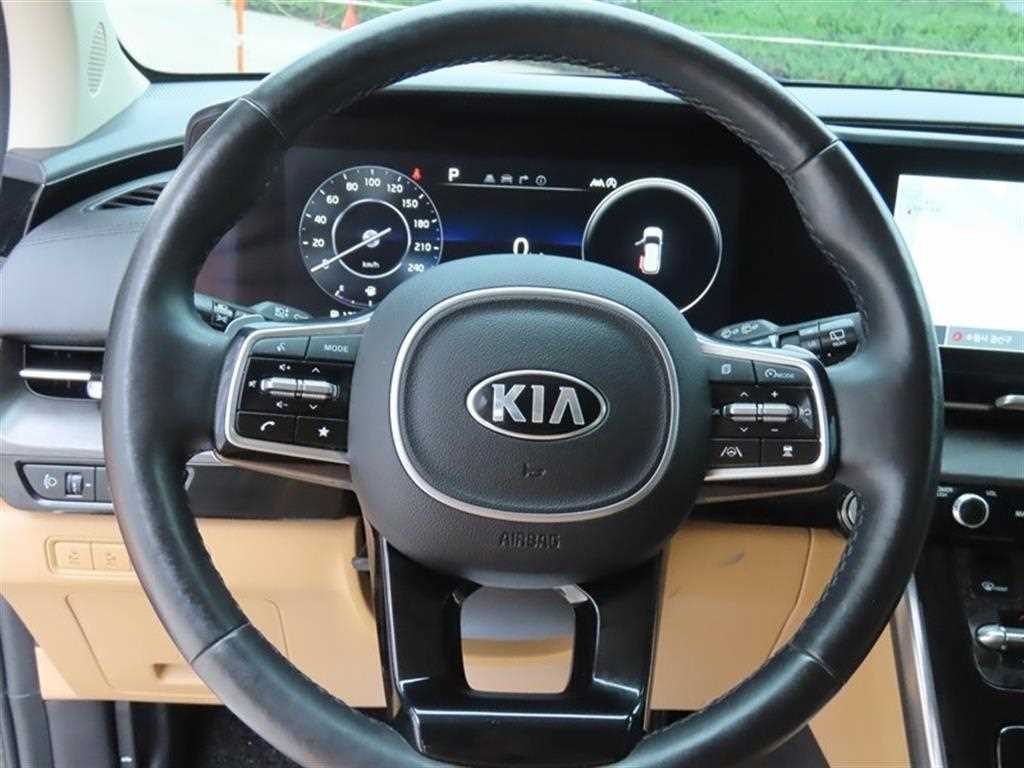 KIA Carnival - Vista 10