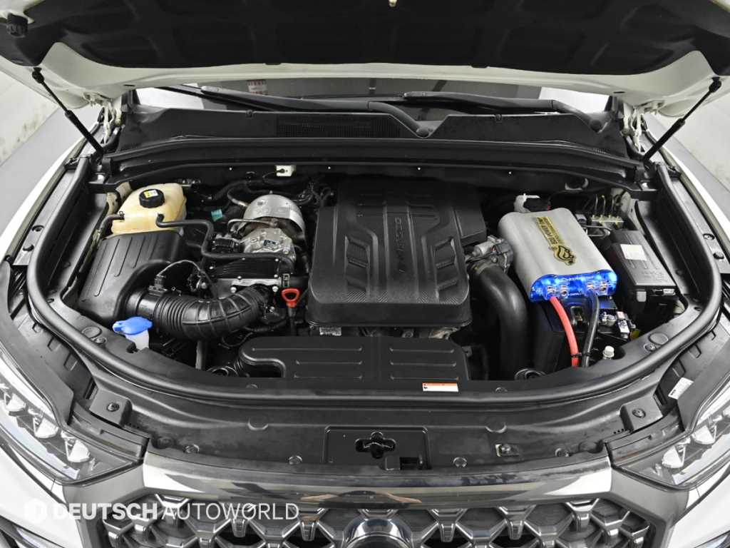 Ssangyong Rexton - Vista 6