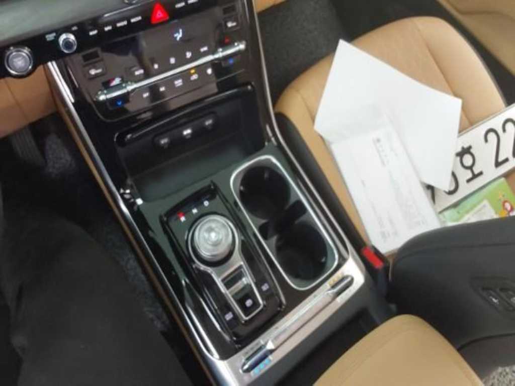 KIA Carnival - Vista 8