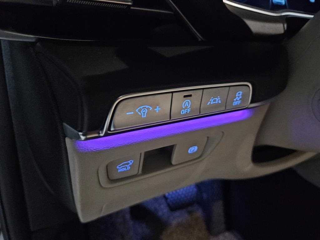 Genesis GV80 - Vista 10