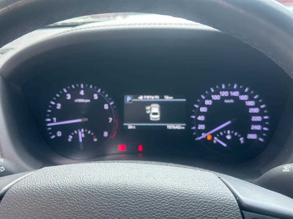 Genesis G80 - Vista 8