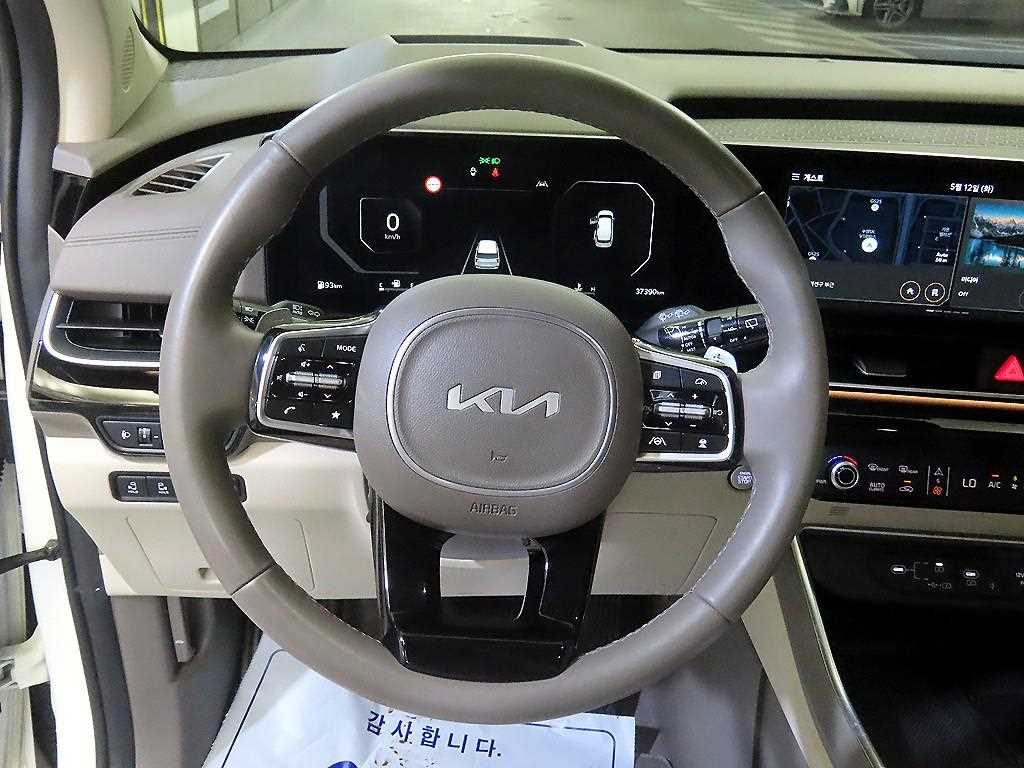 KIA Carnival - Vista 8