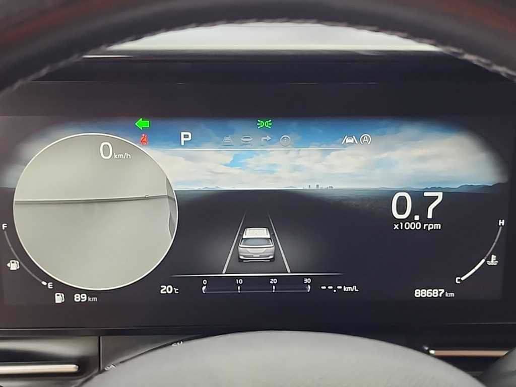 KIA Carnival - Vista 6