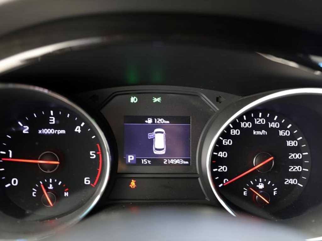 KIA Carnival - Vista 11