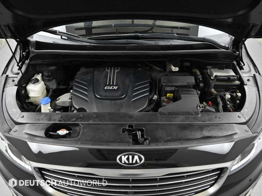 KIA Carnival - Vista 6