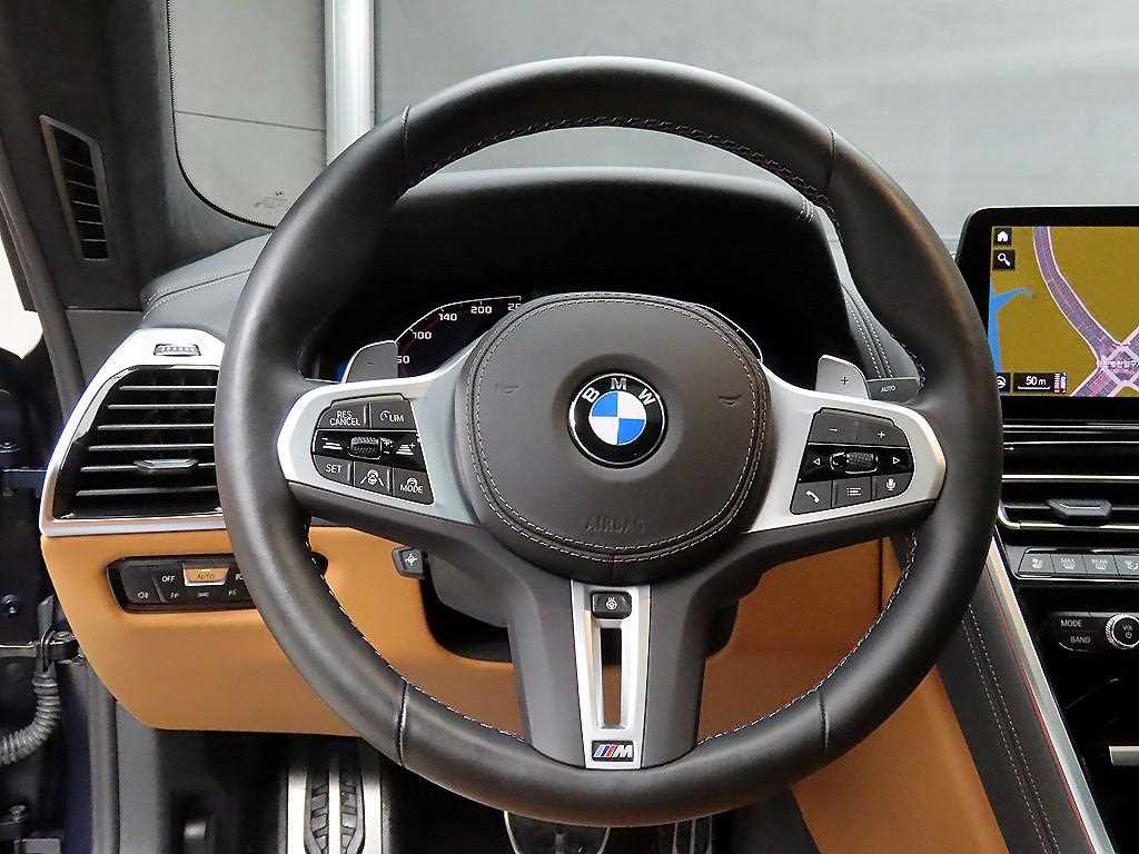 BMW 8 Series - Vista 9
