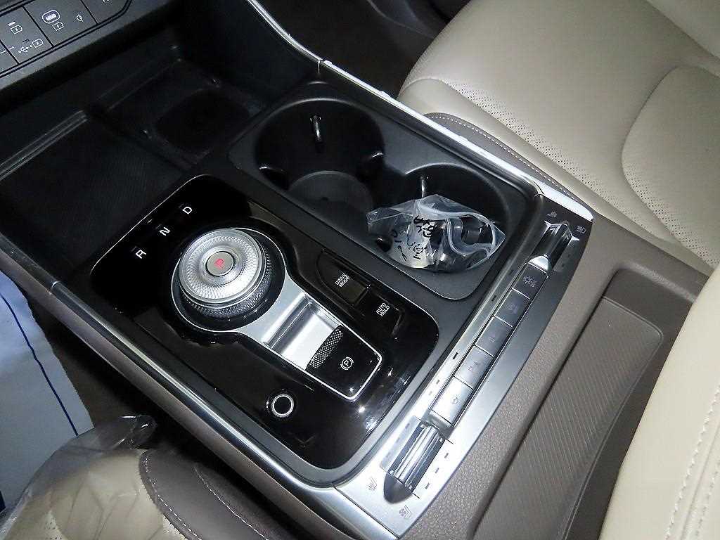 KIA Carnival - Vista 12