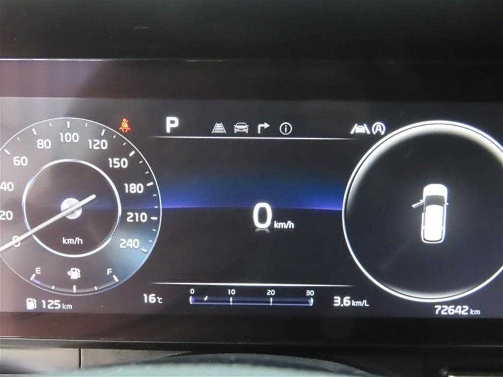 KIA Carnival - Vista 12