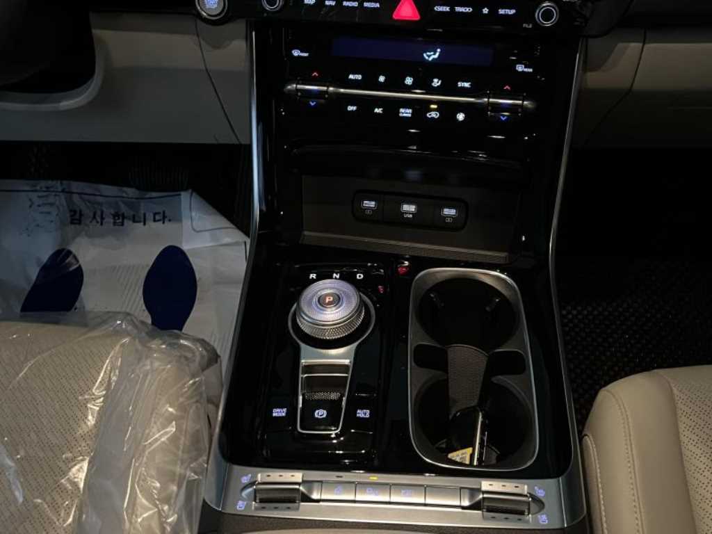 KIA Carnival - Vista 12