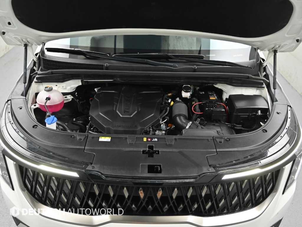 KIA Carnival - Vista 6