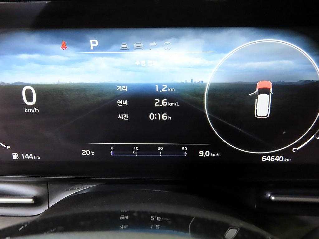 KIA Carnival - Vista 9