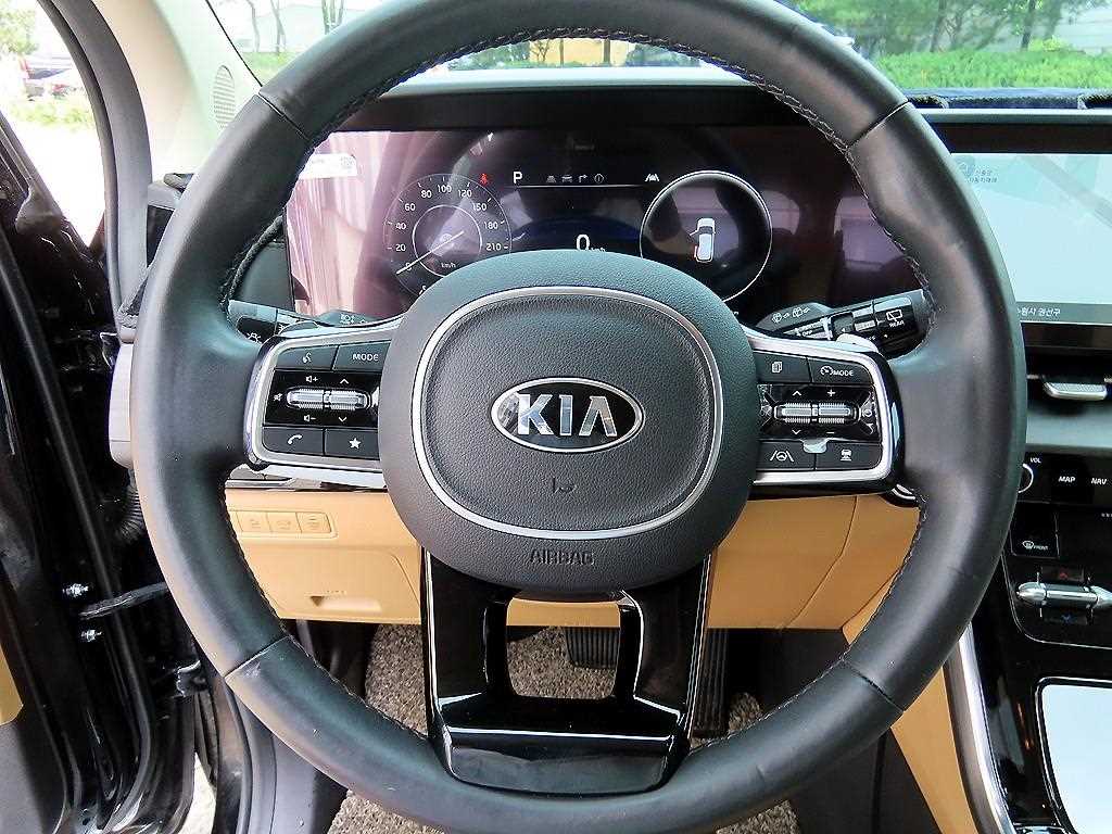 KIA Carnival - Vista 9