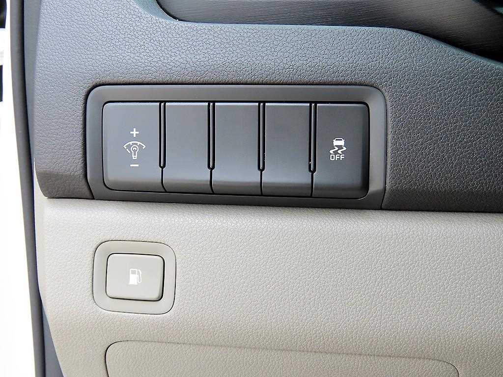 KIA Carnival - Vista 12
