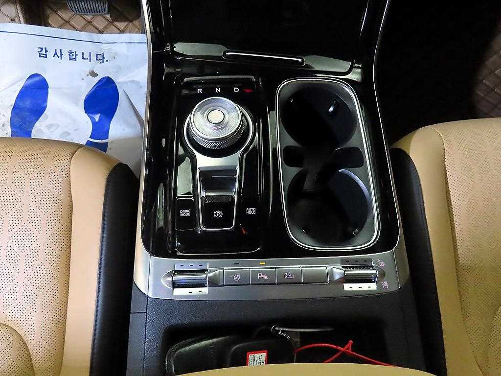 KIA Carnival - Vista 12