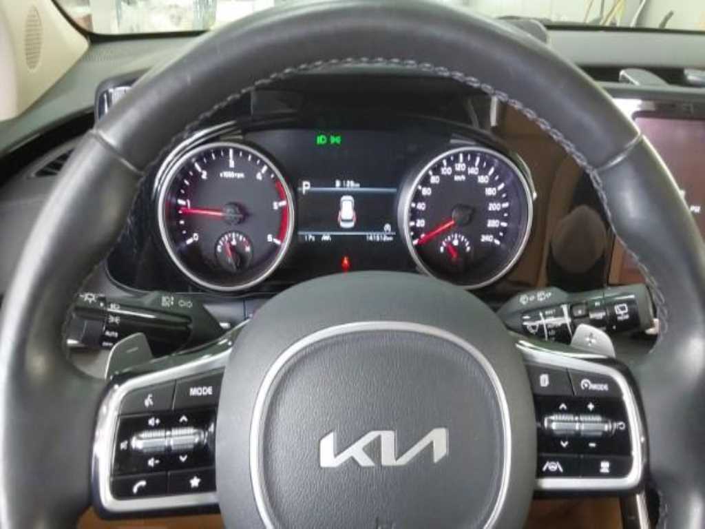 KIA Carnival - Vista 4