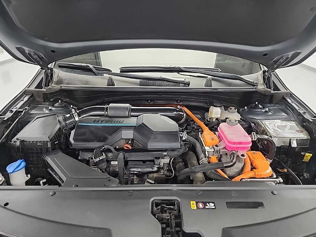 KIA Sportage - Vista 5