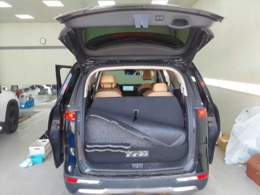 KIA Carnival - Vista 12
