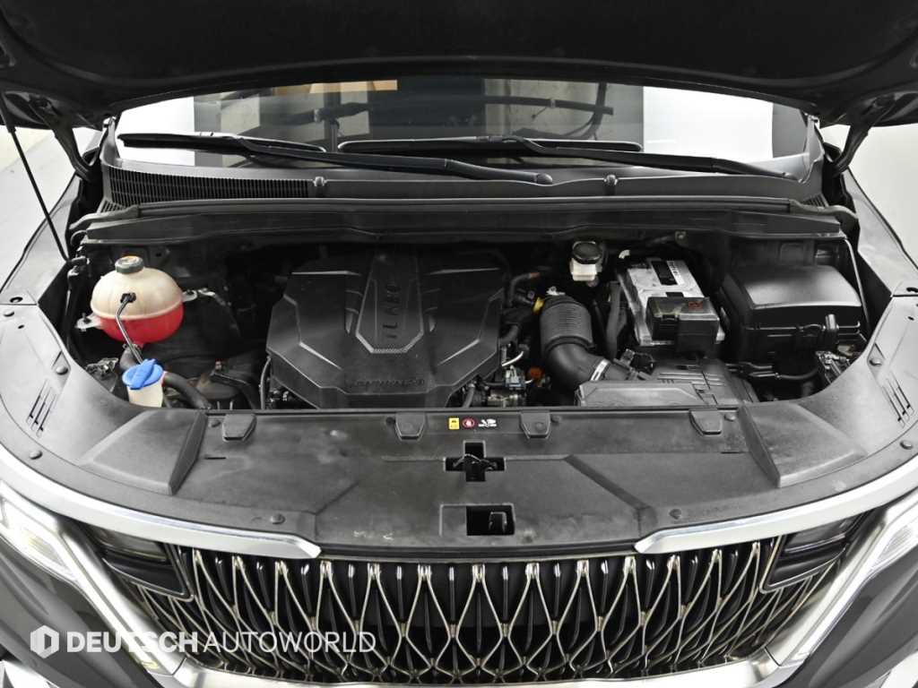 KIA Carnival - Vista 6