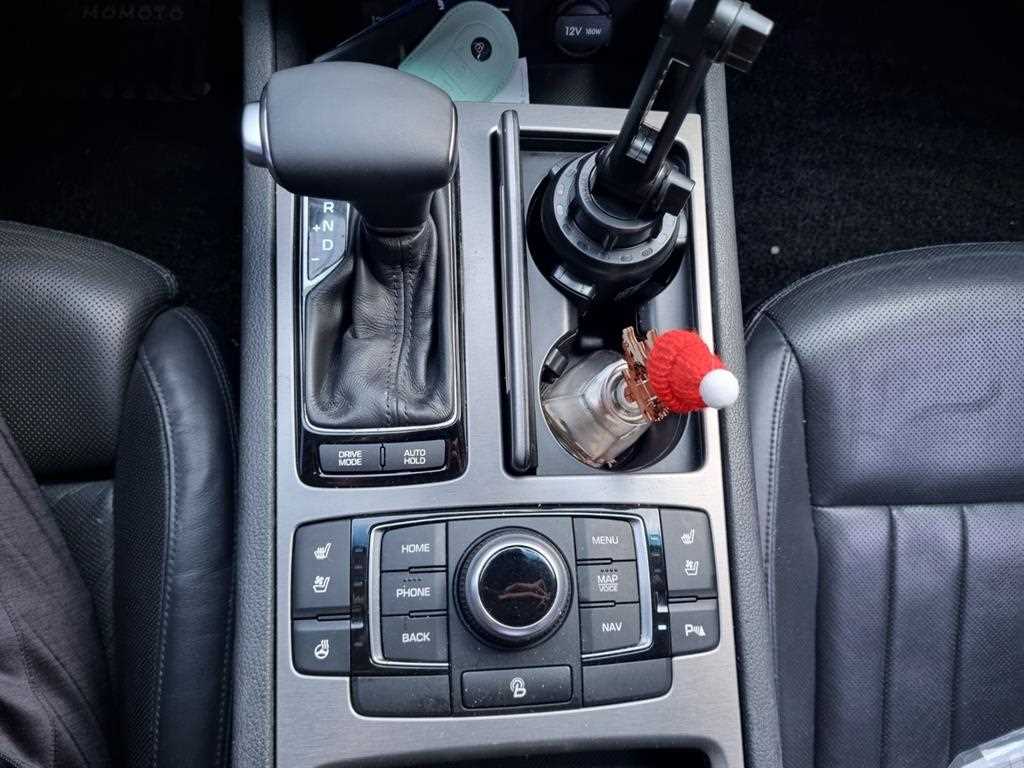 HYUNDAI Genesis - Vista 9
