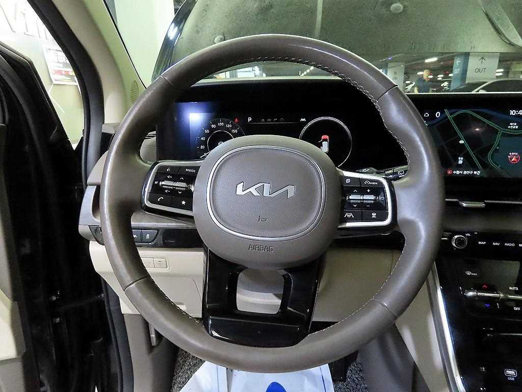 KIA Carnival - Vista 8