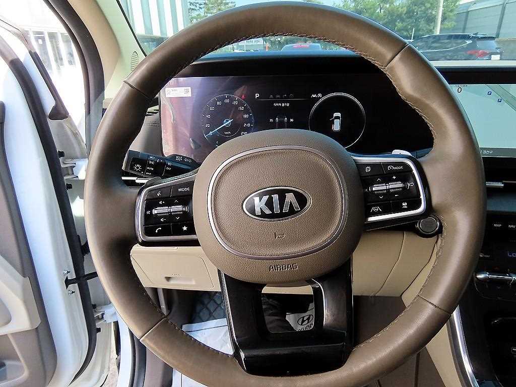 KIA Carnival - Vista 9