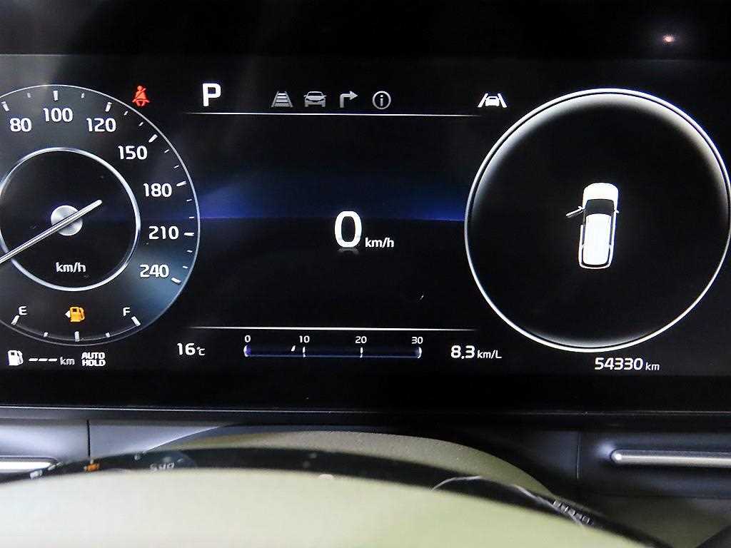 KIA Carnival - Vista 9