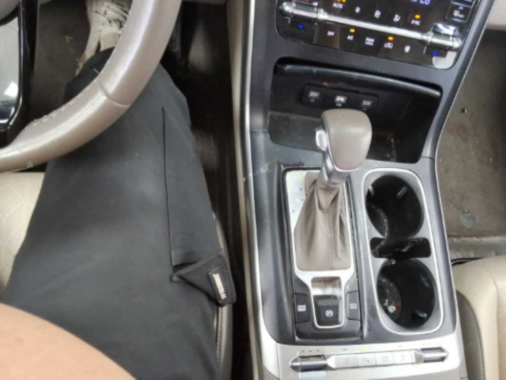KIA Carnival - Vista 6