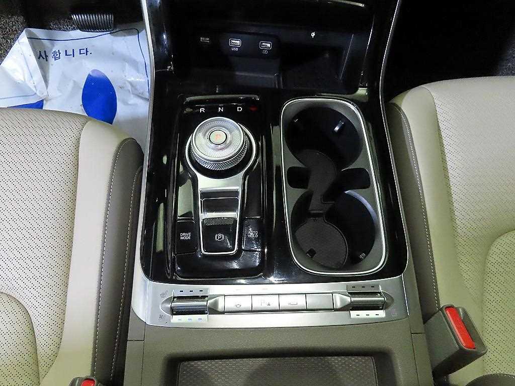 KIA Carnival - Vista 12