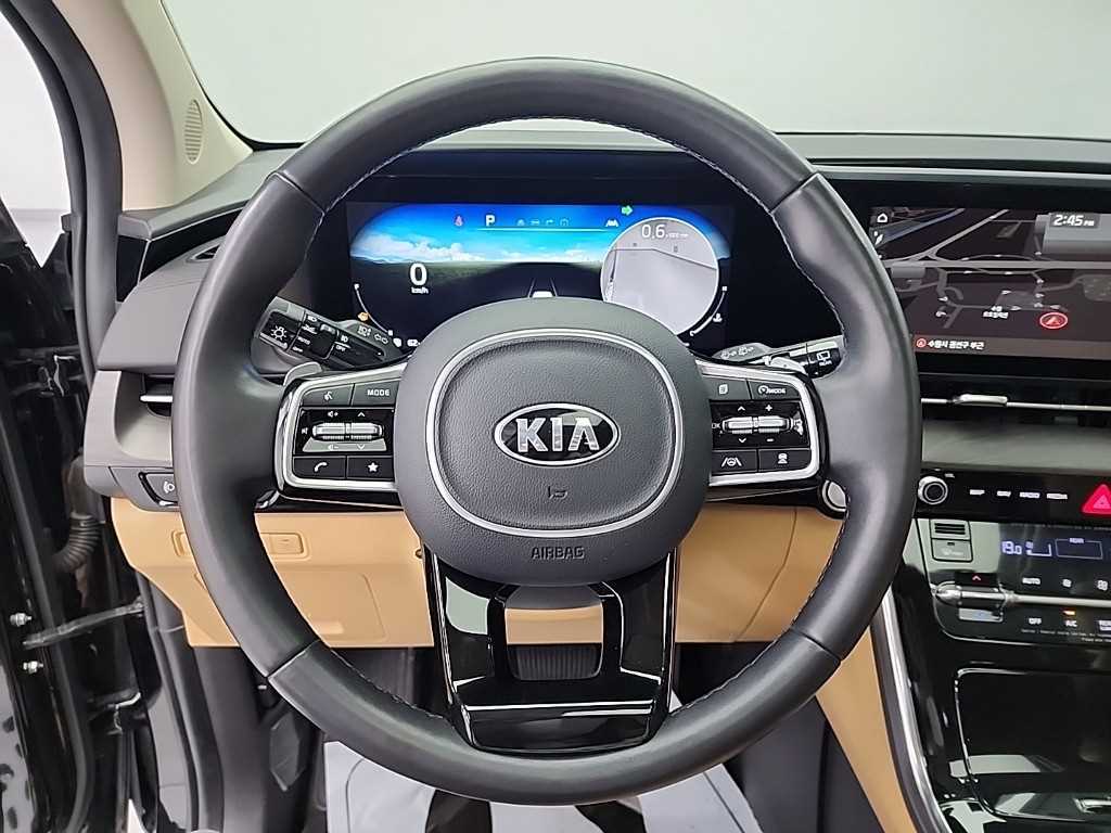 KIA Carnival - Vista 9