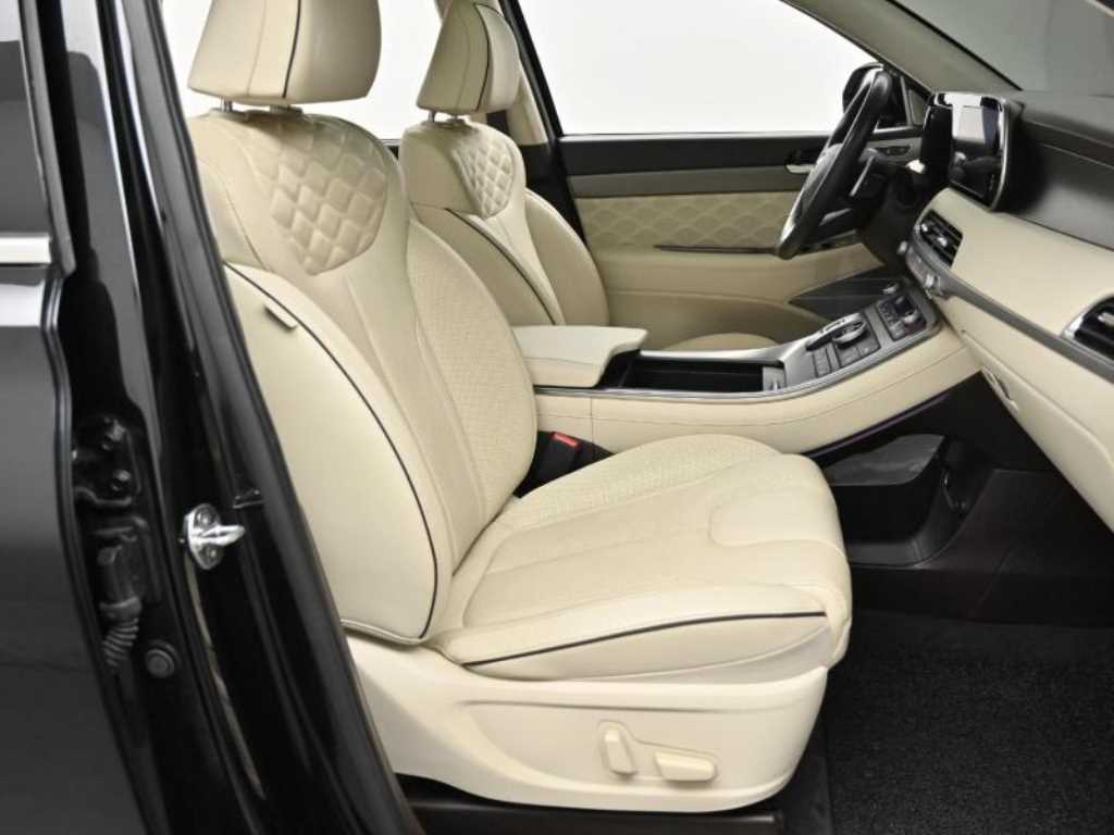HYUNDAI Palisade - Vista 10