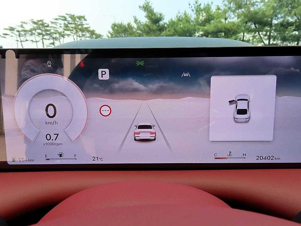 Genesis G80 - Vista 9