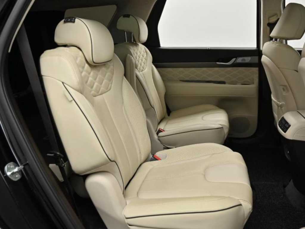 HYUNDAI Palisade - Vista 12