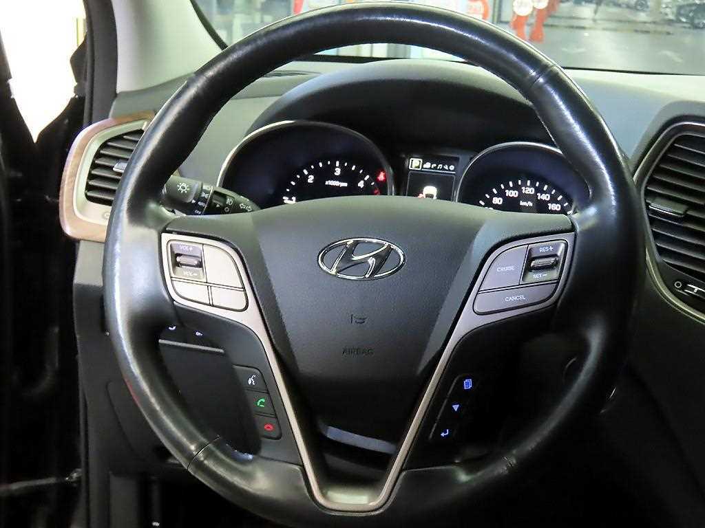 HYUNDAI Maxcruz - Vista 8