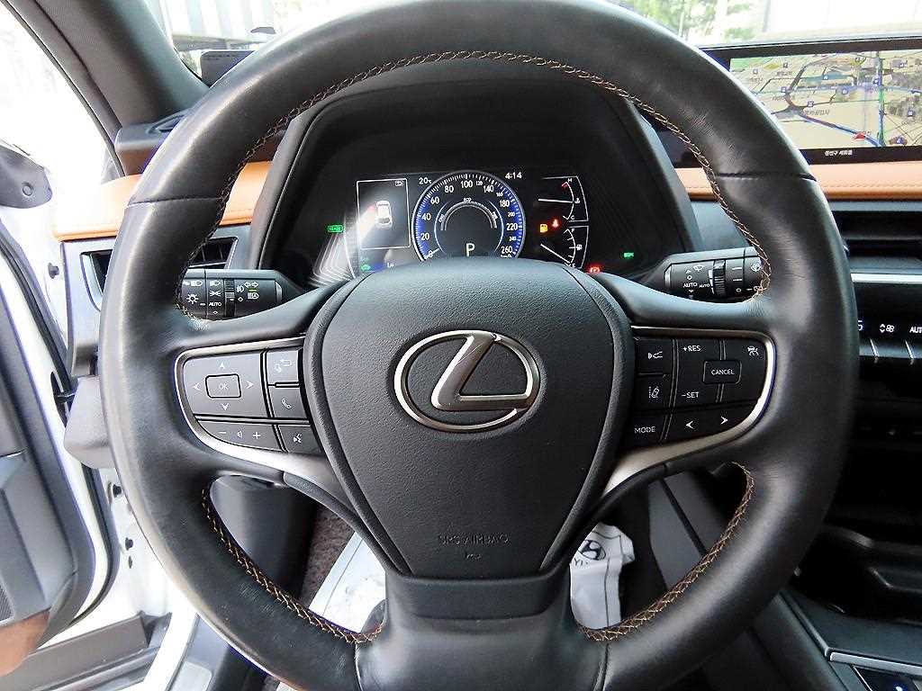 Lexus UX - Vista 8
