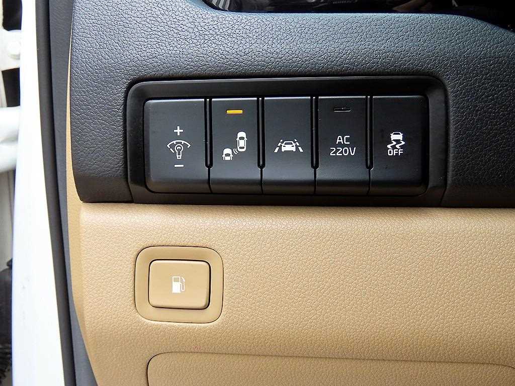 KIA Carnival - Vista 12
