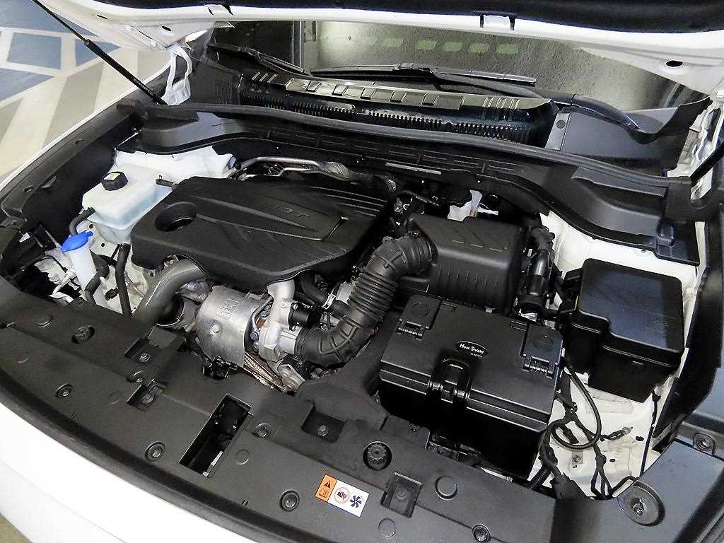 Ssangyong Action 2025 - Importación desde Corea - HF Imports Iquique - Foto 19