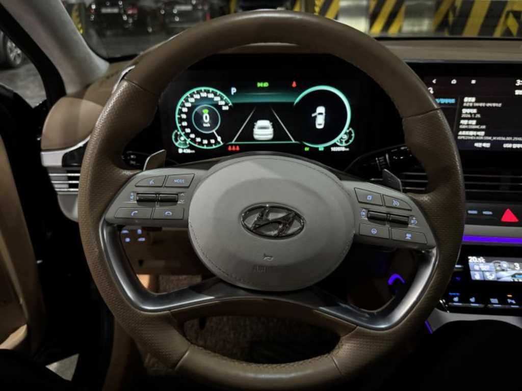 HYUNDAI Grandeur - Vista 10