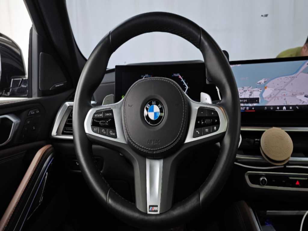 BMW X6 - Vista 10