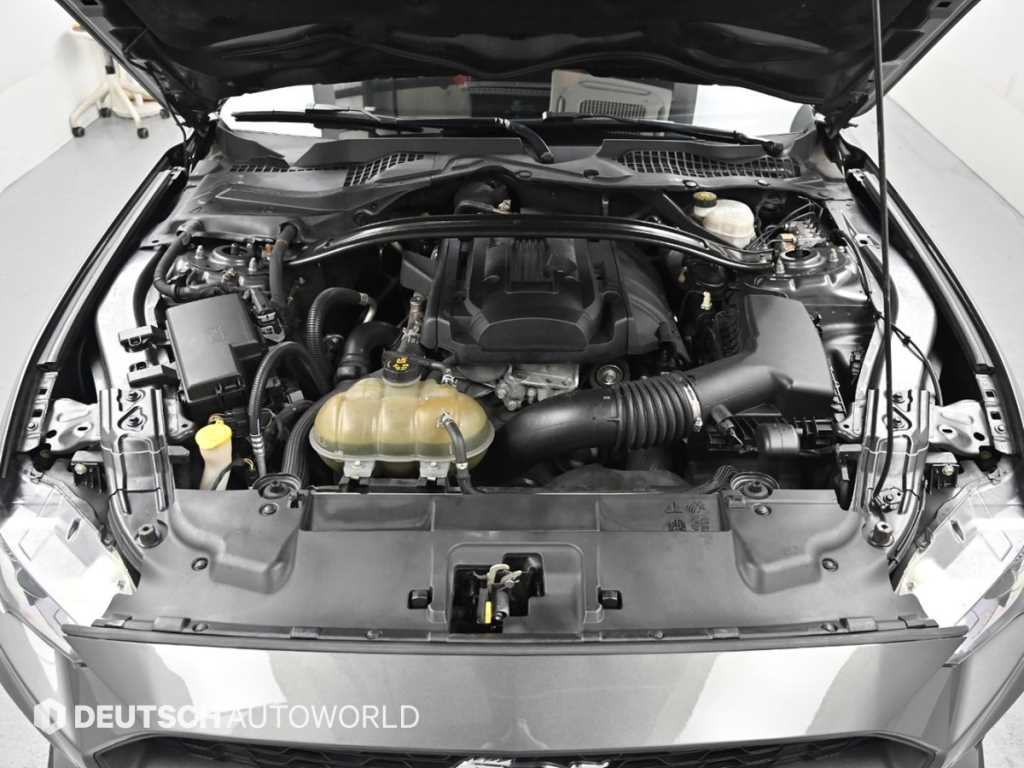 Ford Mustang - Vista 7