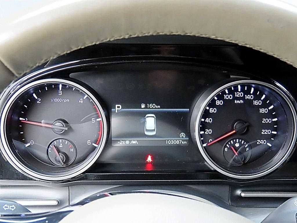 KIA Carnival - Vista 8