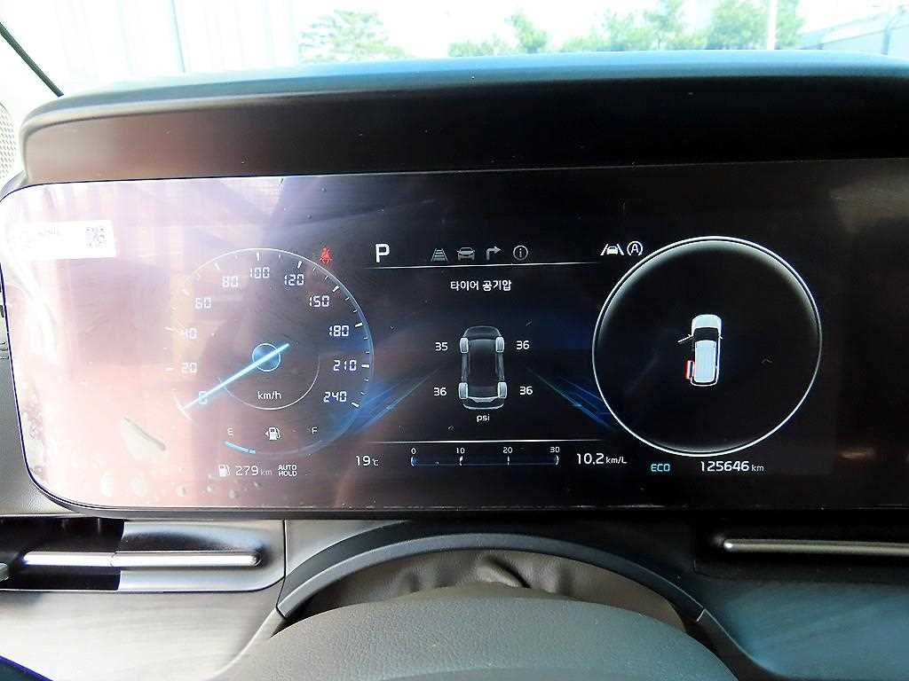 KIA Carnival - Vista 10