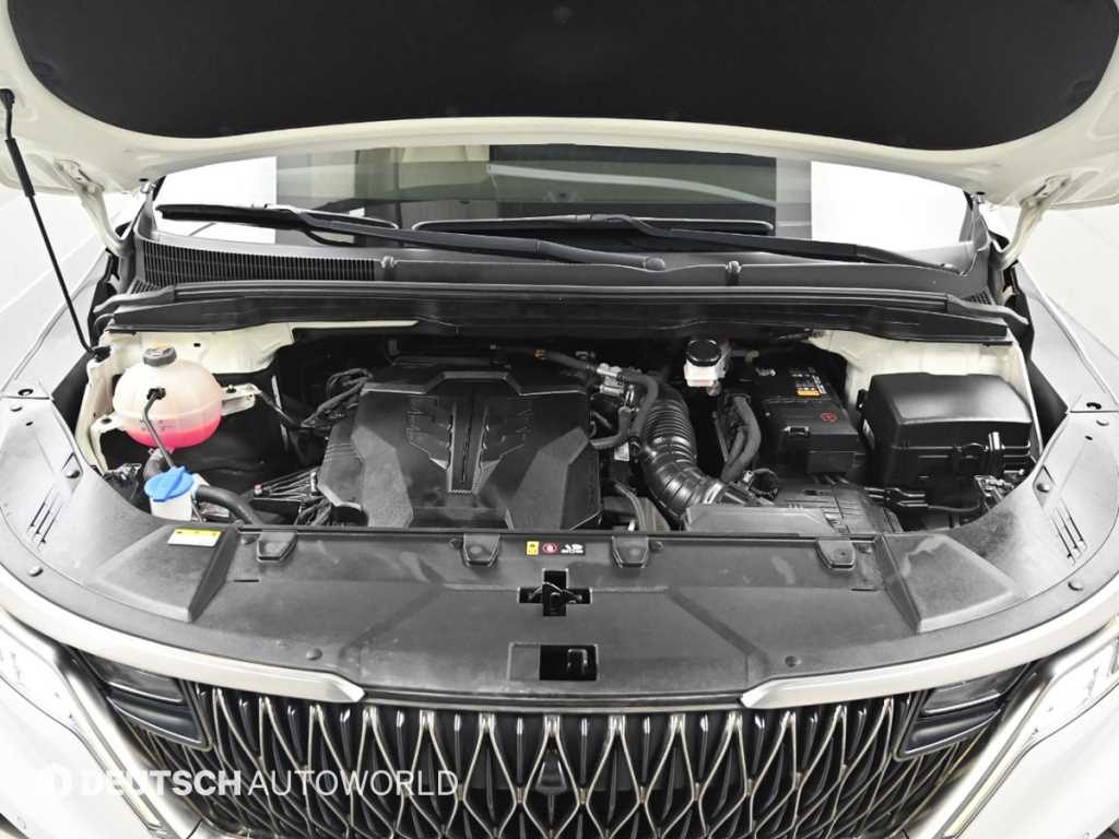 KIA Carnival - Vista 6