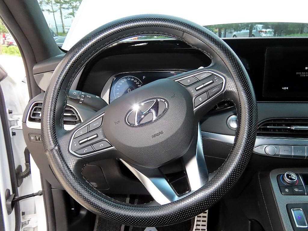 HYUNDAI Palisade - Vista 8